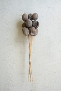 Minotolla Balls on Stems Bundle 