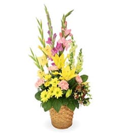 Bright and Beautiful