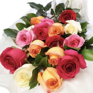 Dozen Roses - Wrapped
