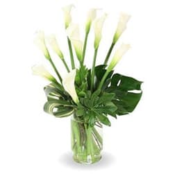 Timeless