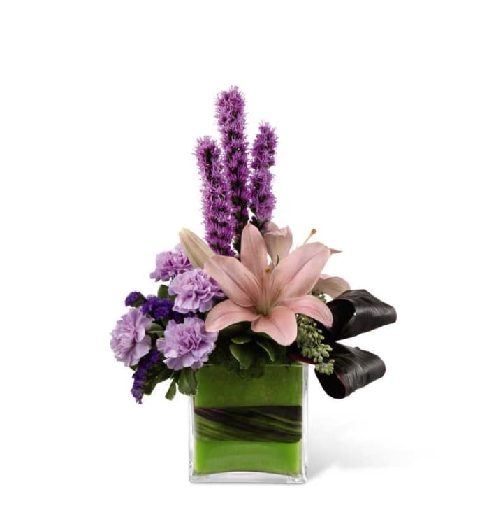 Cosmopolitan Arrangement