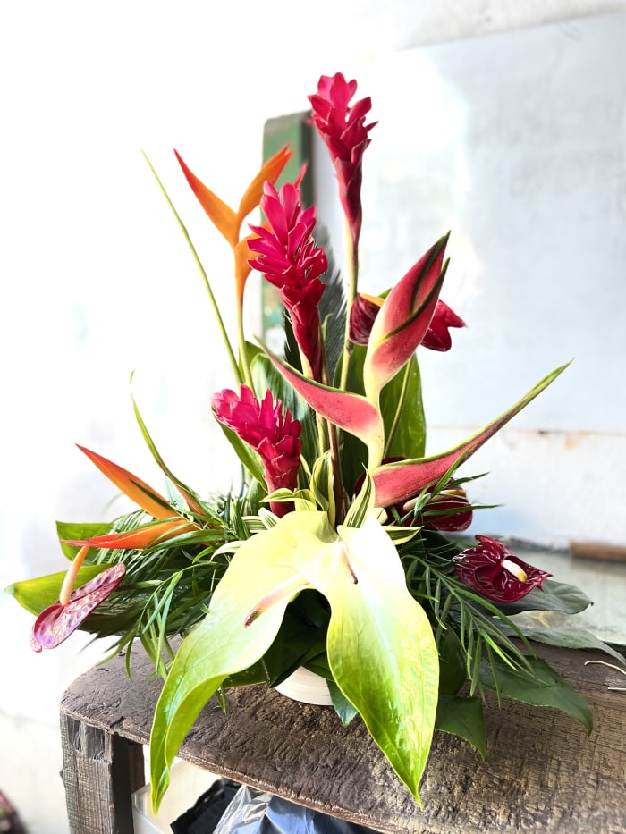 MEDIUM TROPICAL ARRANGEMENT