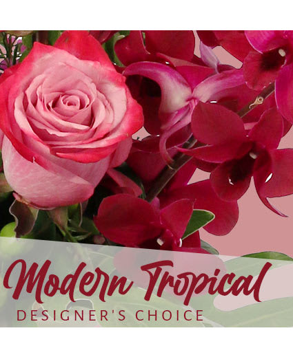 MODERN TROPICAL BEAUTY DESIGNER'S CHOICE