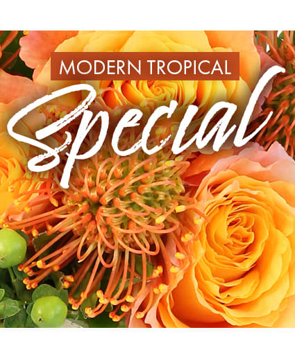 MODERN TROPICAL SPECIAL DESIGNER'S CHOICE