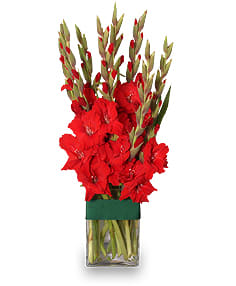 HOLIDAY FLAME FLOWER ARRANGEMENT