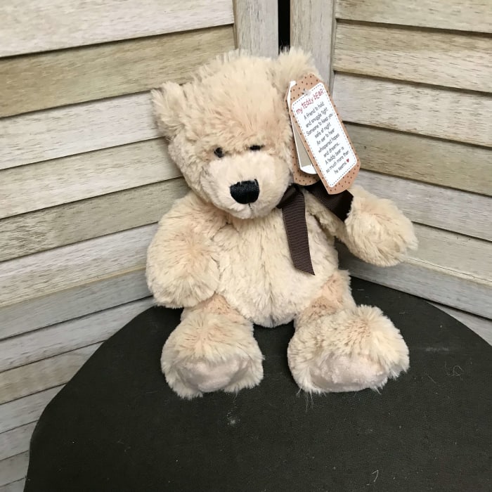 jeremy the cutest  tan ganz bear