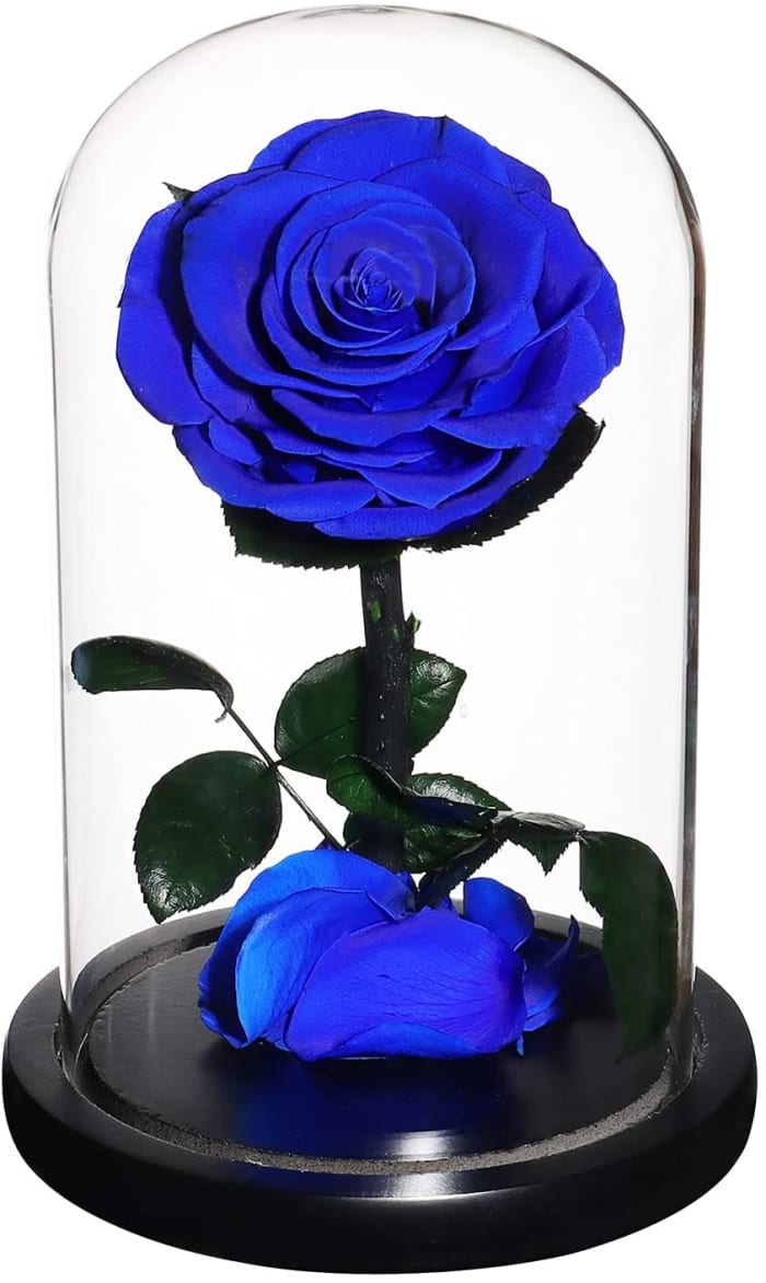 Dark Blue Rose Dome