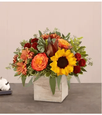 Heartfelt Radiance™ Bouquet for Sympathy