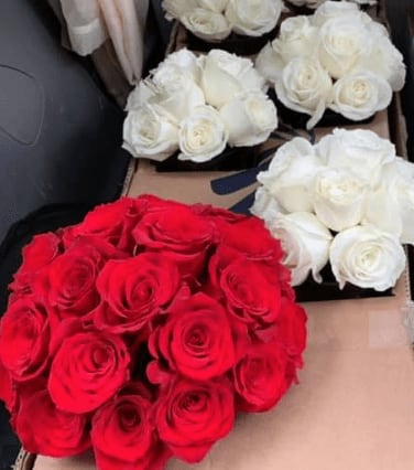 Rose Wedding Package