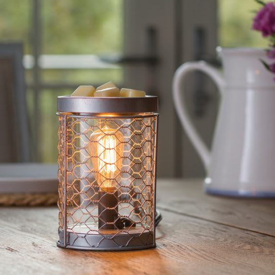 CHICKEN WIRE EDISON BULB FRAGRANCE WARMER
