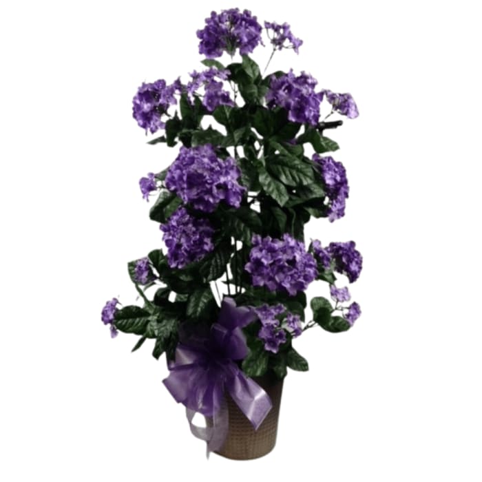 Beautiful Hydrangea Silk Tree