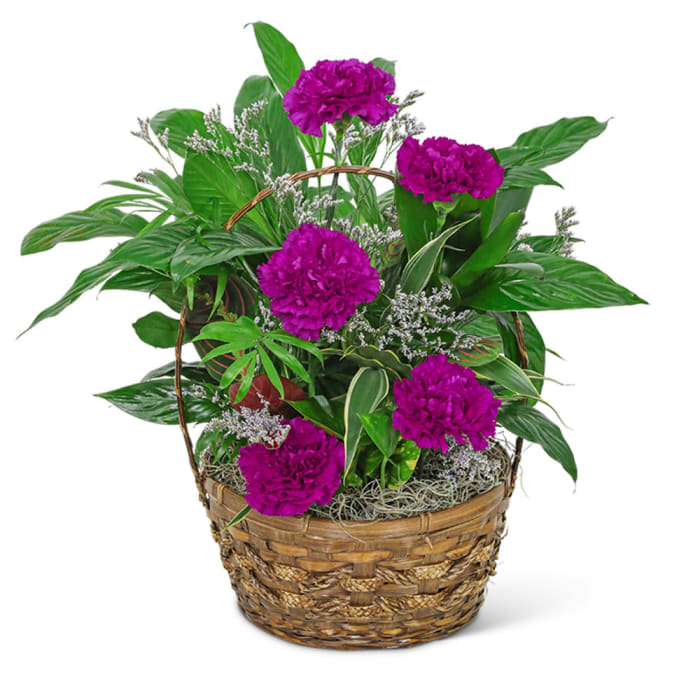 Dish Garden with Purple Florals 12 inch