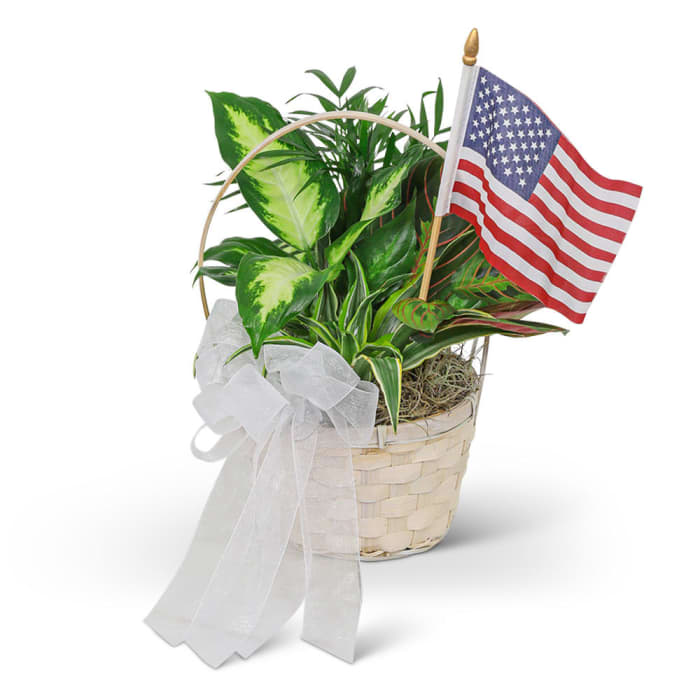 Patriotic Planter 6 inch