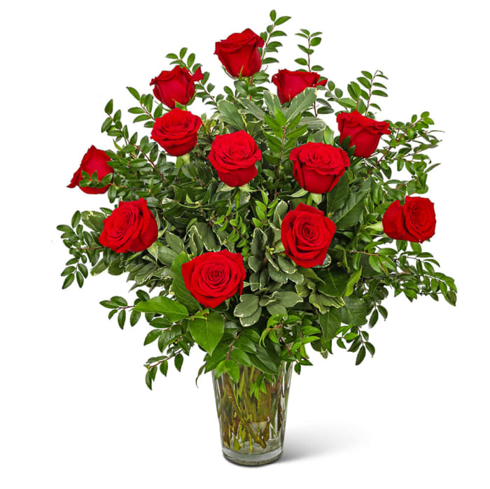 One Dozen Elegant Red Roses