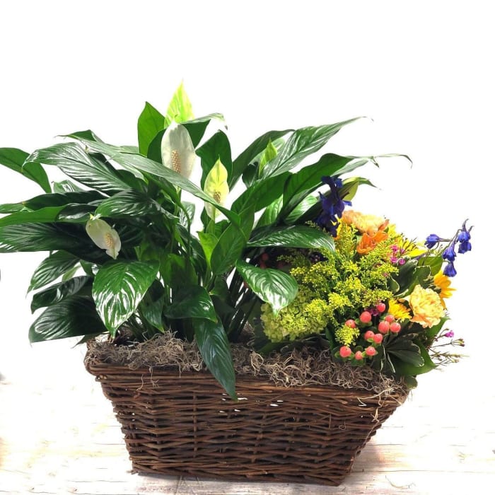 European Basket with Fresh Floral Vase