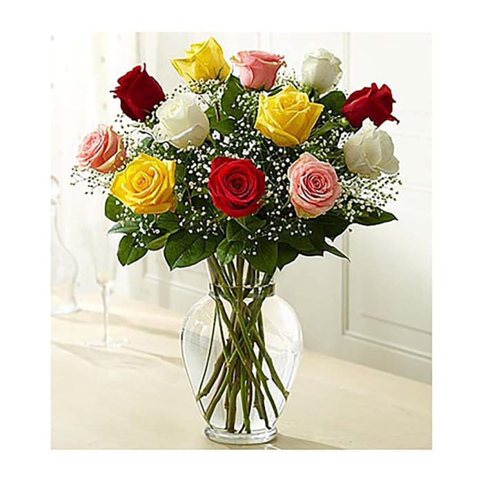 1 Dozen Assorted Colored Roses