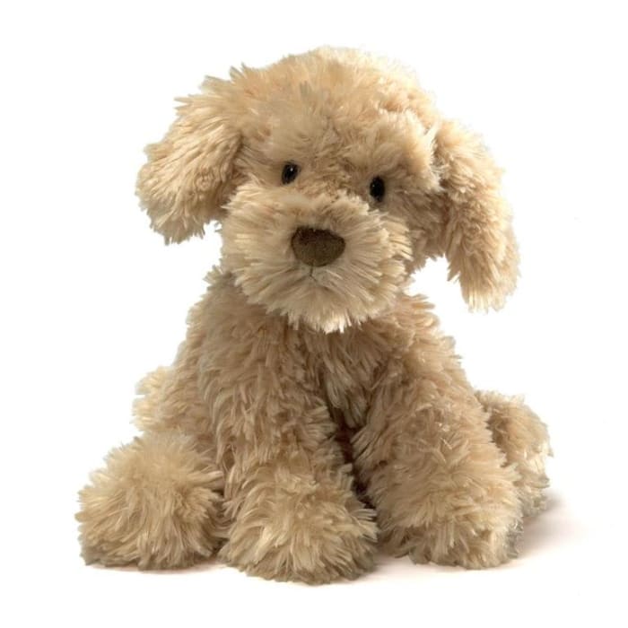 Nayla Cockapoo 10.5in