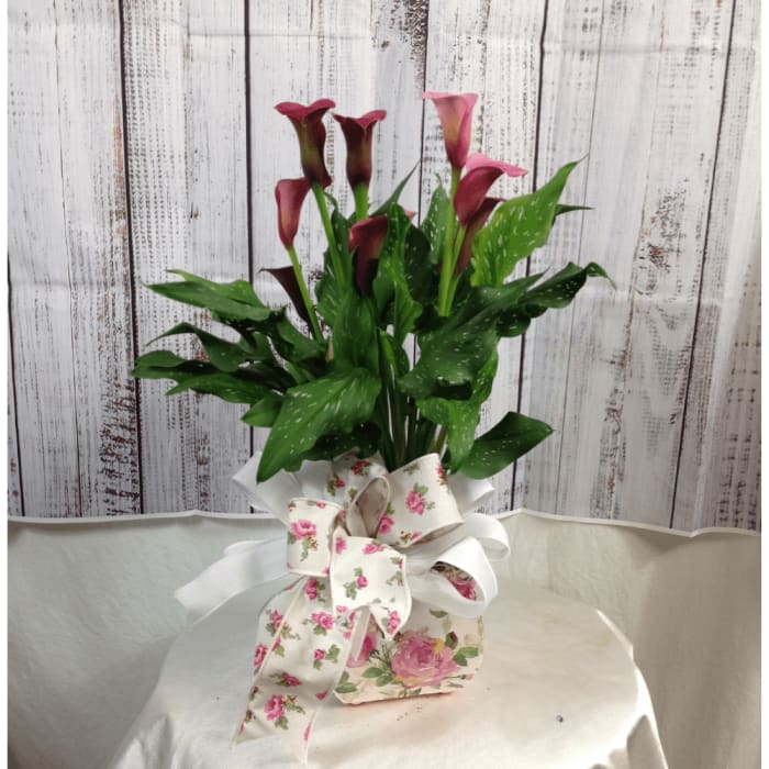 Victorian Calla Lily