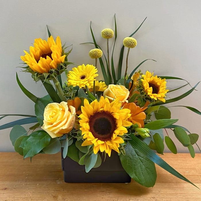 Happy Sunflowers