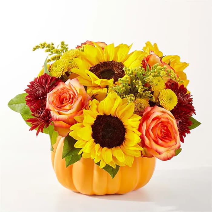 GOLDEN GOURD PUMPKIN