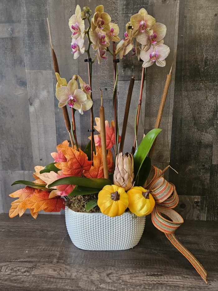 Fall Decorated Orchids-Orchid Color Varies