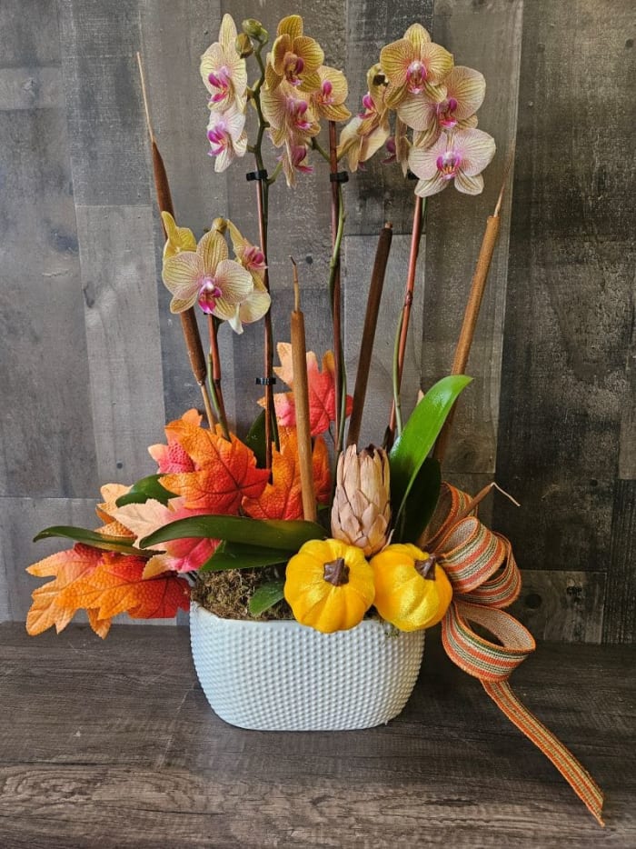 Fall Decorated Orchid-Color may vary