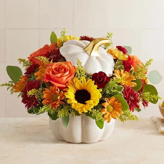 AUTUMN WHITE PUMPKIN