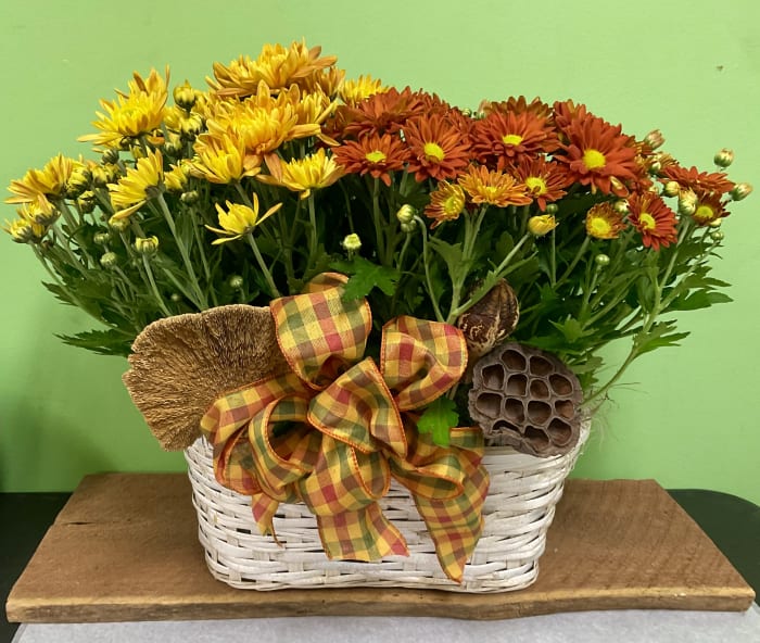 Mums in a Basket