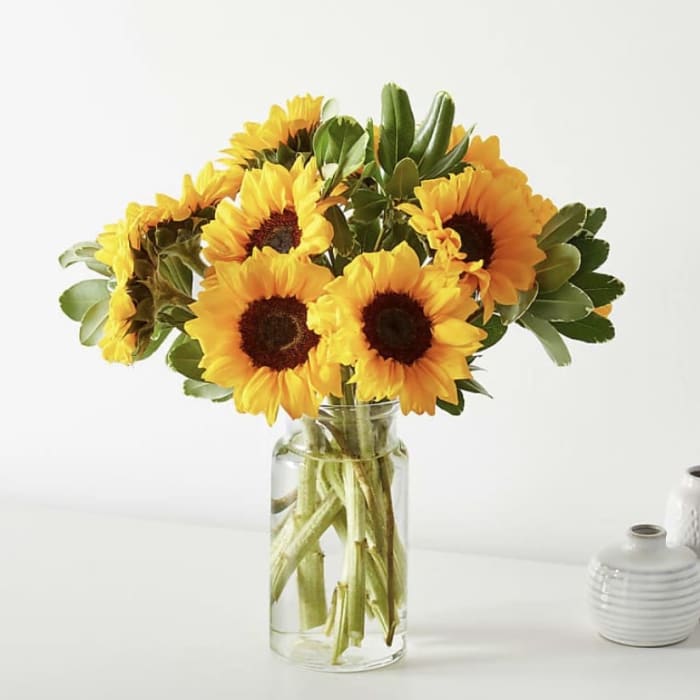 Here Comes the Sunflowers