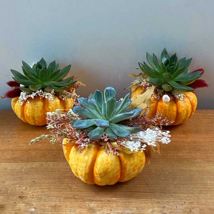 Three Little Pumpkins