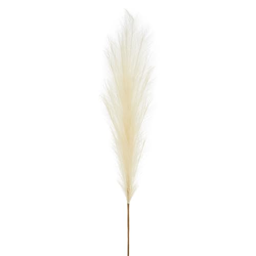 PAMPAS GRASS STEM 45''