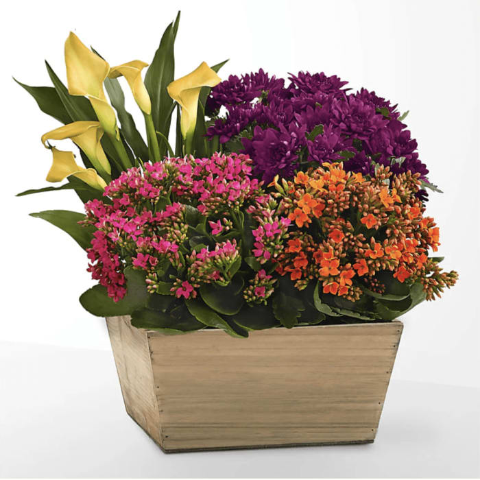 Abundant Blooms Garden