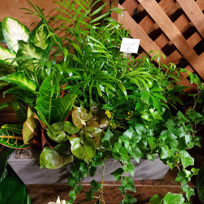 Funeral/Sympathy Work