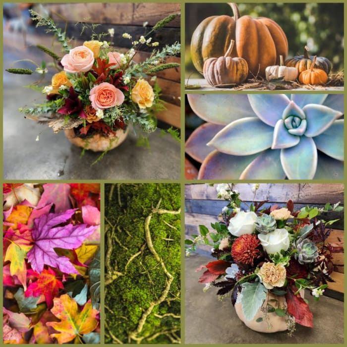 Autumn "Bouqkins" - Autumn Flowers