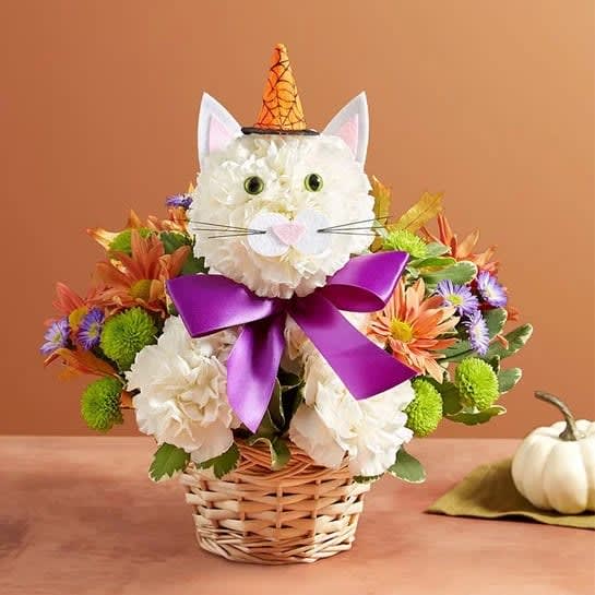 Perrfect Potions Fabulous Feline