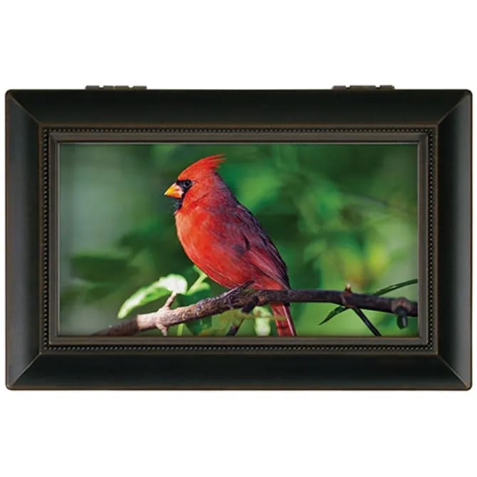 "Cardinal" Music Box