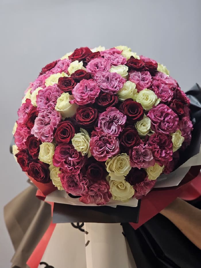 Country Blues Mix Garden Roses