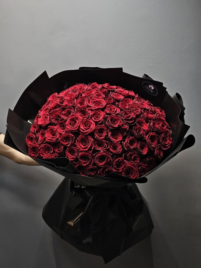 Black and Red Beauty