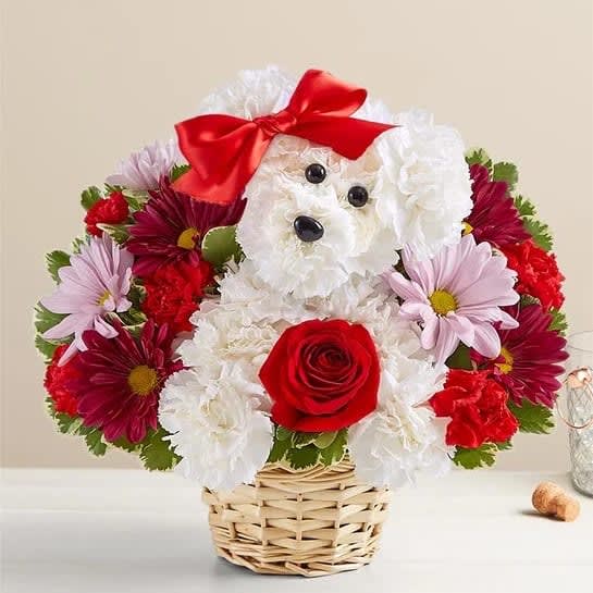 Love Pup