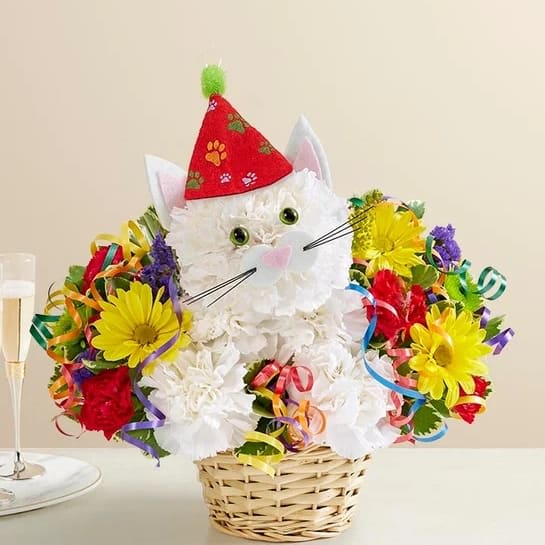 Purrfect Party Cat