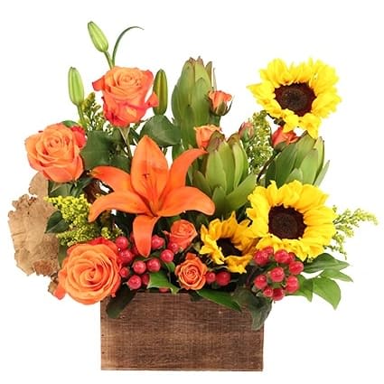 Sunny Radiance Wooden Box