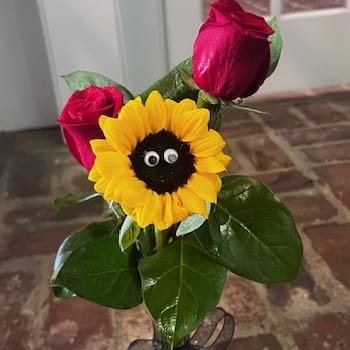 SPOOKY SUNFLOWER