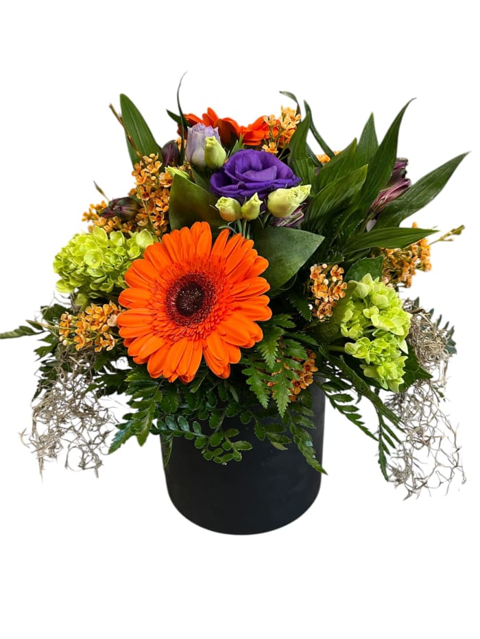 Spooky Black Pot Arrangement