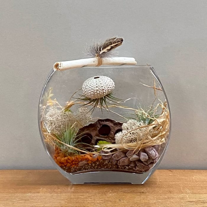October Airpant Terrarium