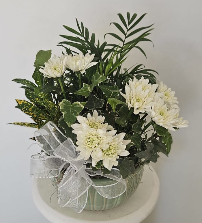 6" Ceramic Dishgarden