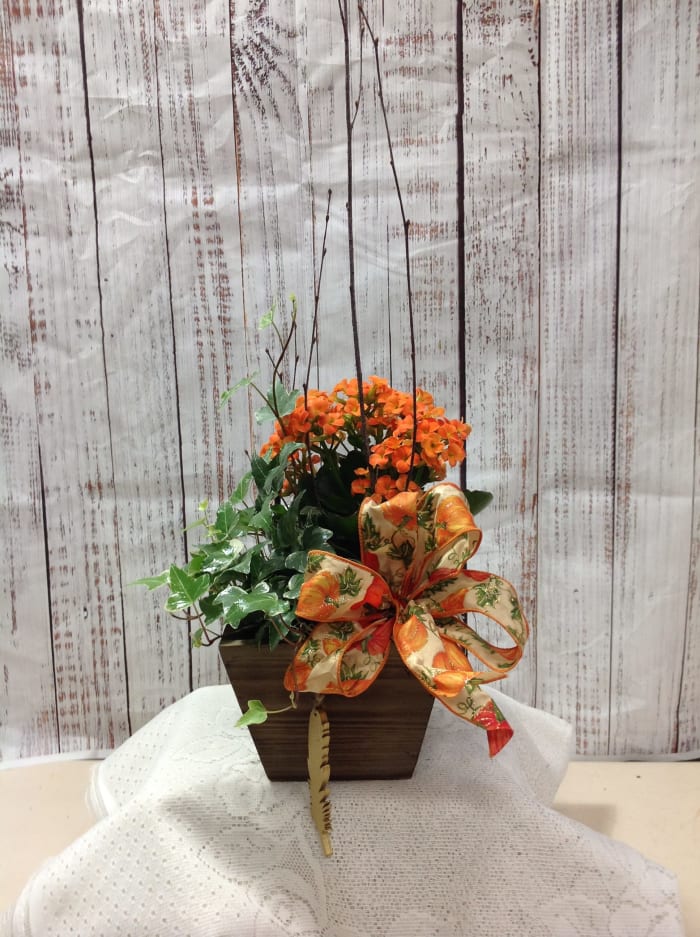 Autumn Harvest Box