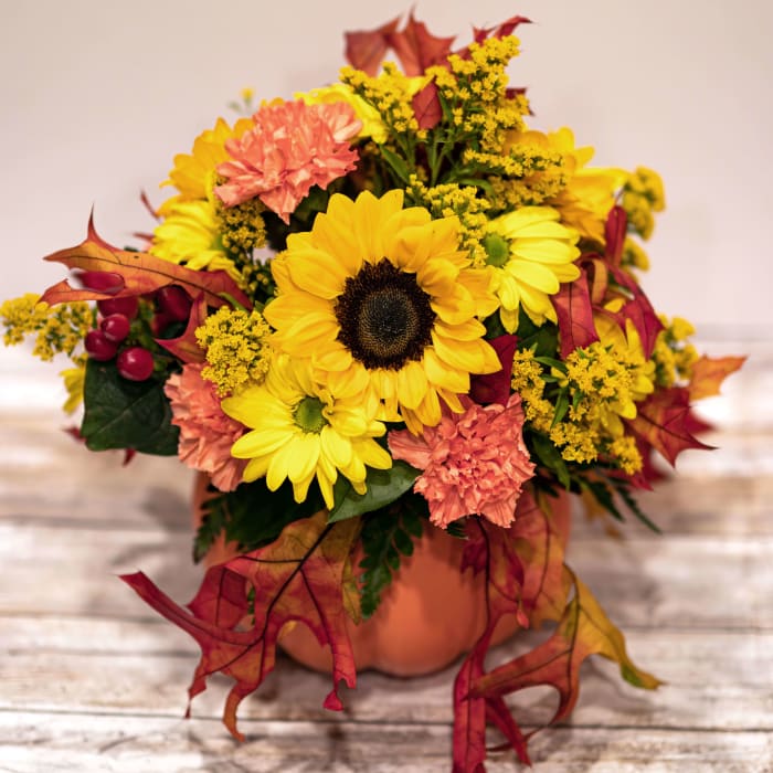 Pretty Pumpkin