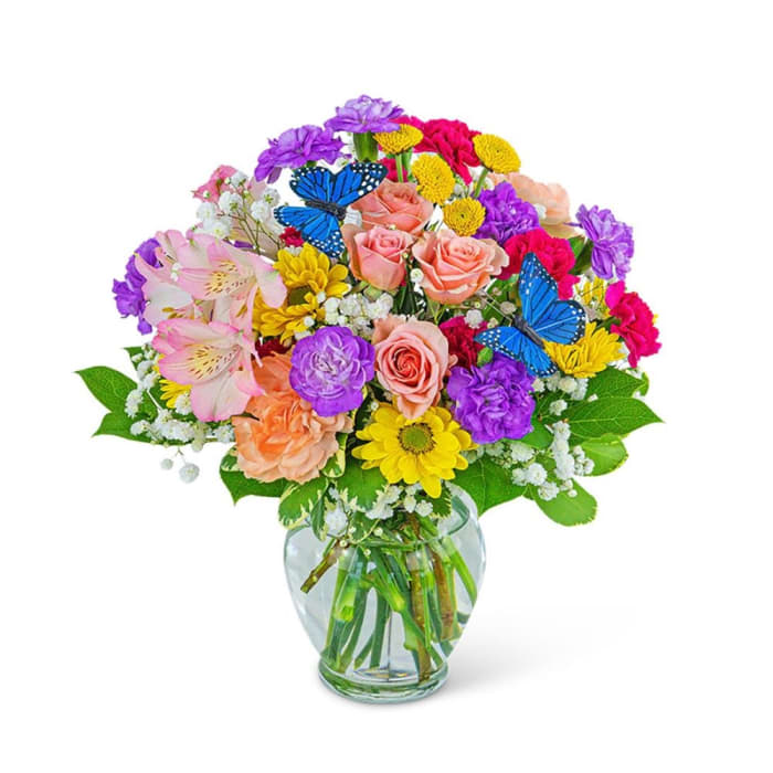 Butterfly Blooms