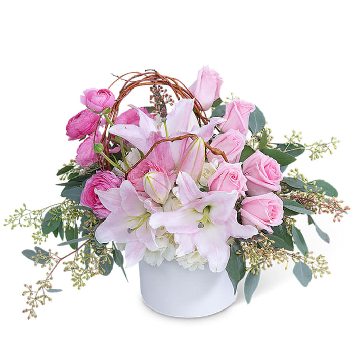 Blush and Beauty