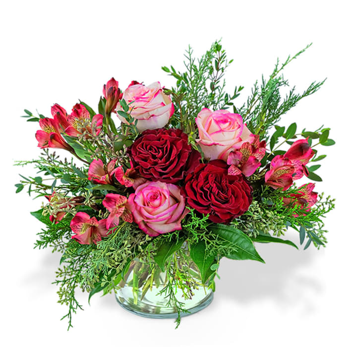 Cranberry Rose